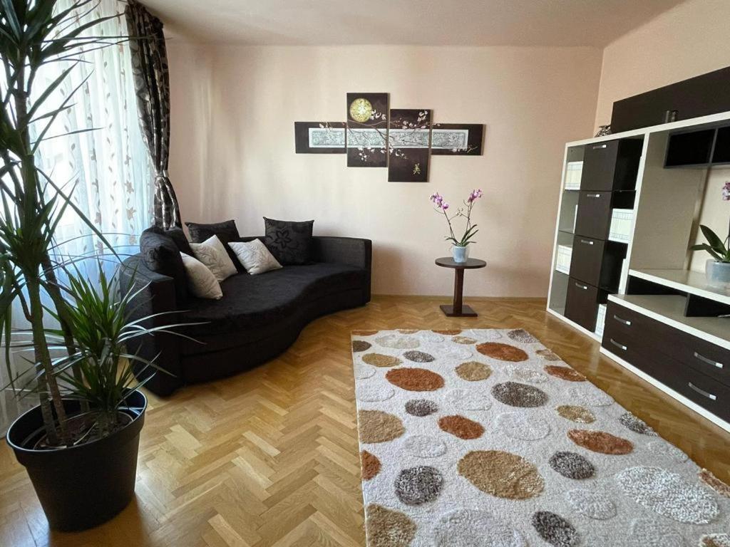 Apartamento Winterland Sf.Ioan Braşov Exterior foto