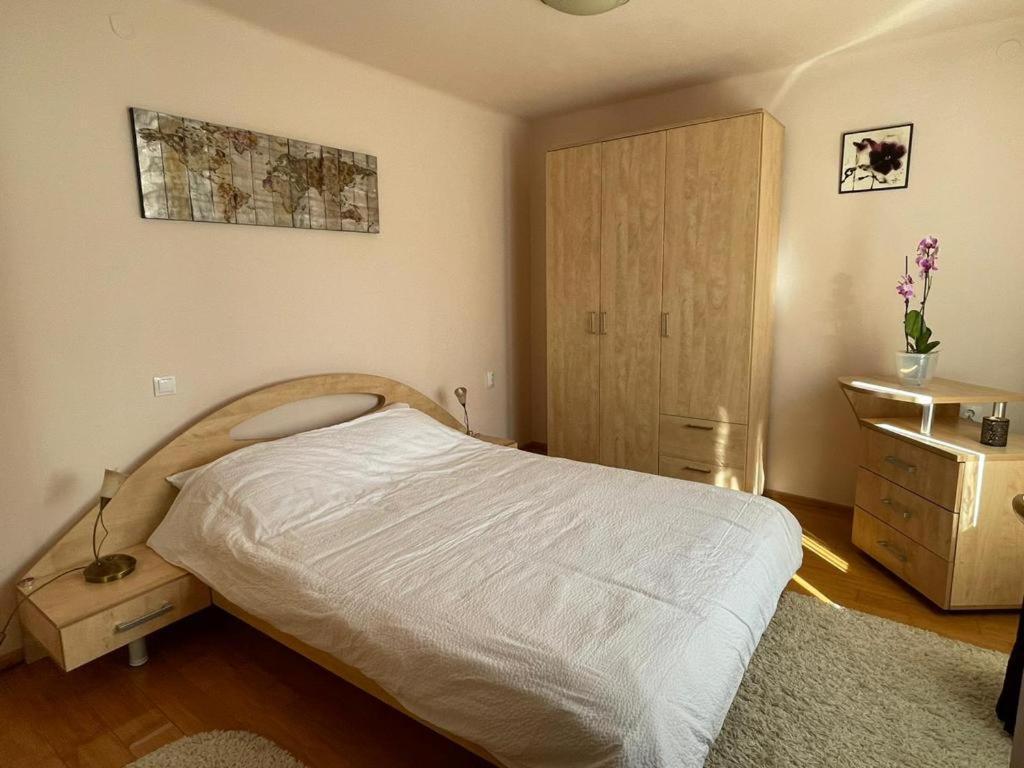 Apartamento Winterland Sf.Ioan Braşov Exterior foto